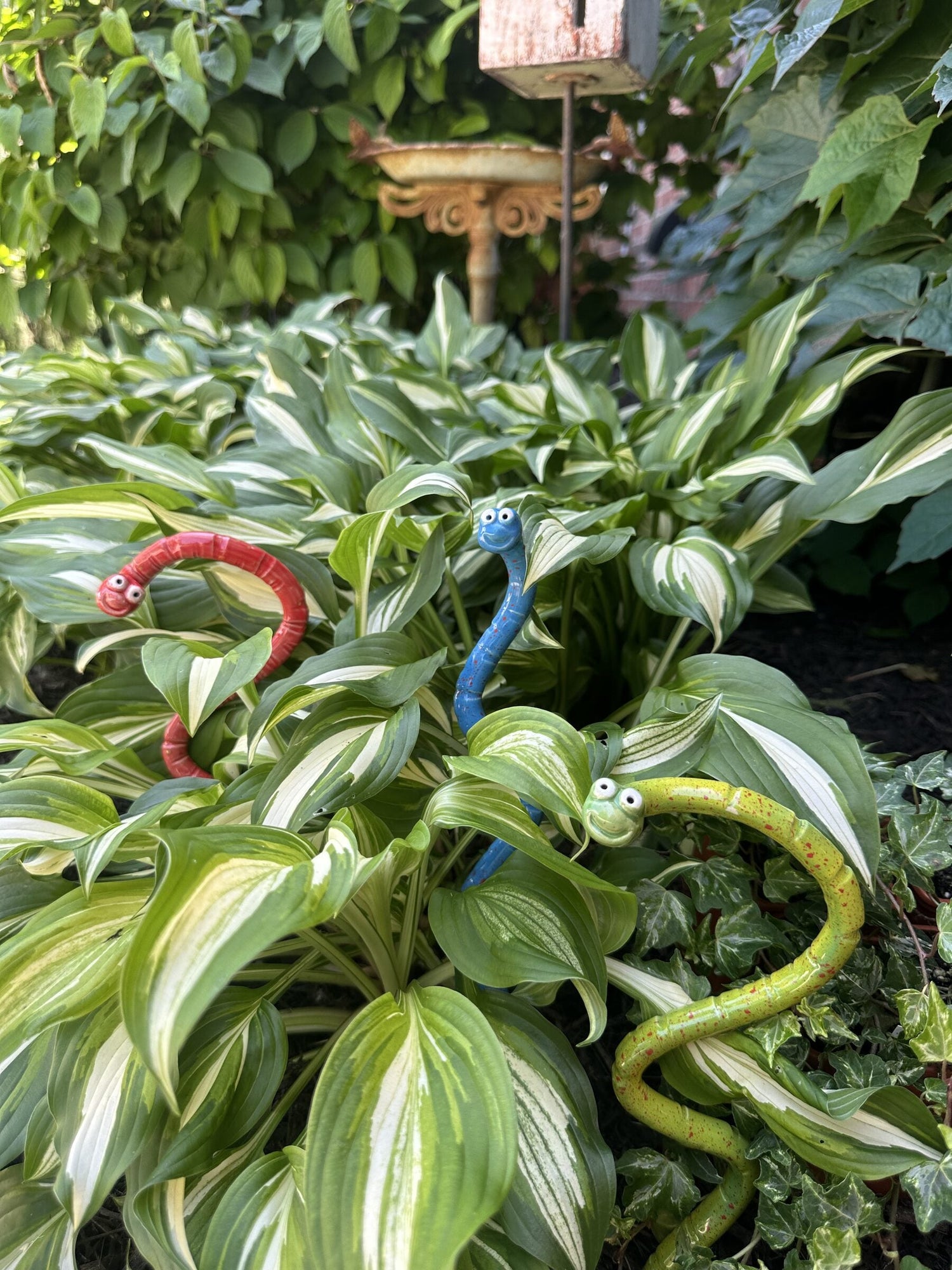 Yellow, blue, and red JJ Potts Studio ceramic Wormyz garden stakes winding through variegated hosta leaves