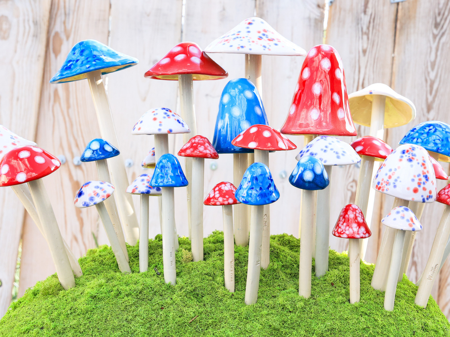 Shroomyz – Patriotic Collection – Variety Pack