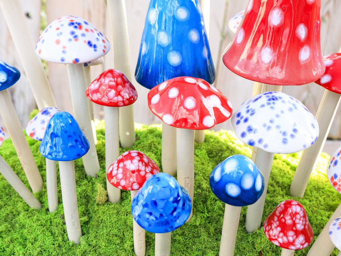 Shroomyz – Patriotic Collection – Variety Pack