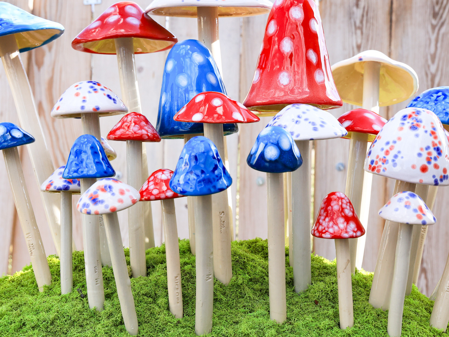 Shroomyz – Patriotic Collection – Variety Pack