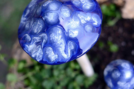 Blue Moon Shroomyz