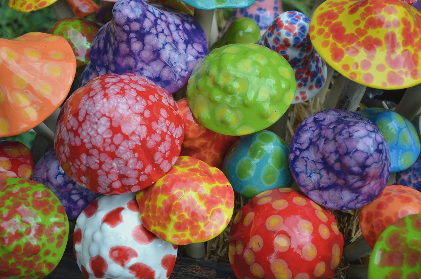 Shroomyz – Funtasmic Collection – Blue Raspberry - Image 6 of 6 | Garden Decor