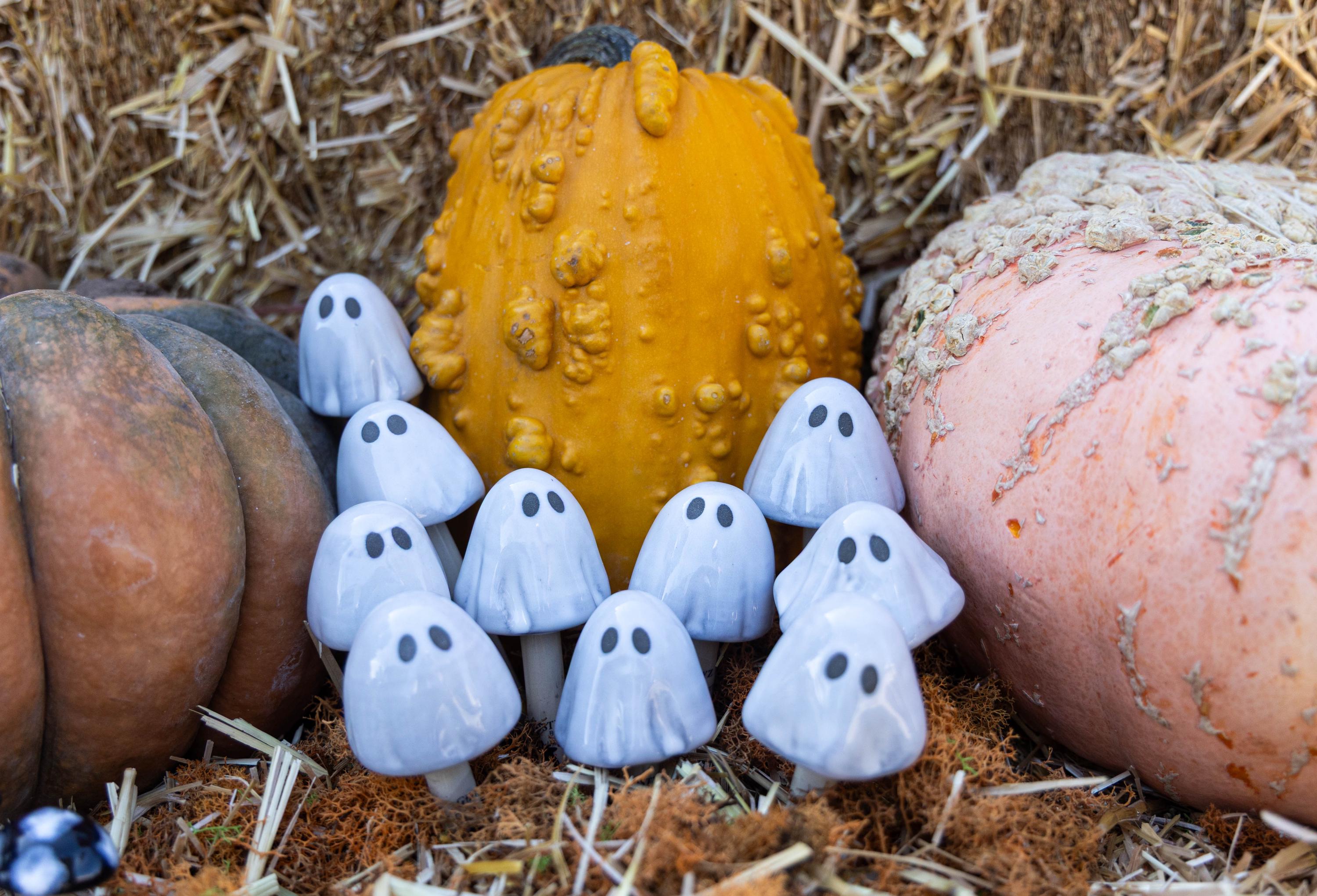 Ghostyz – Micro Pack - Image 2 of 11 | Garden Decor
