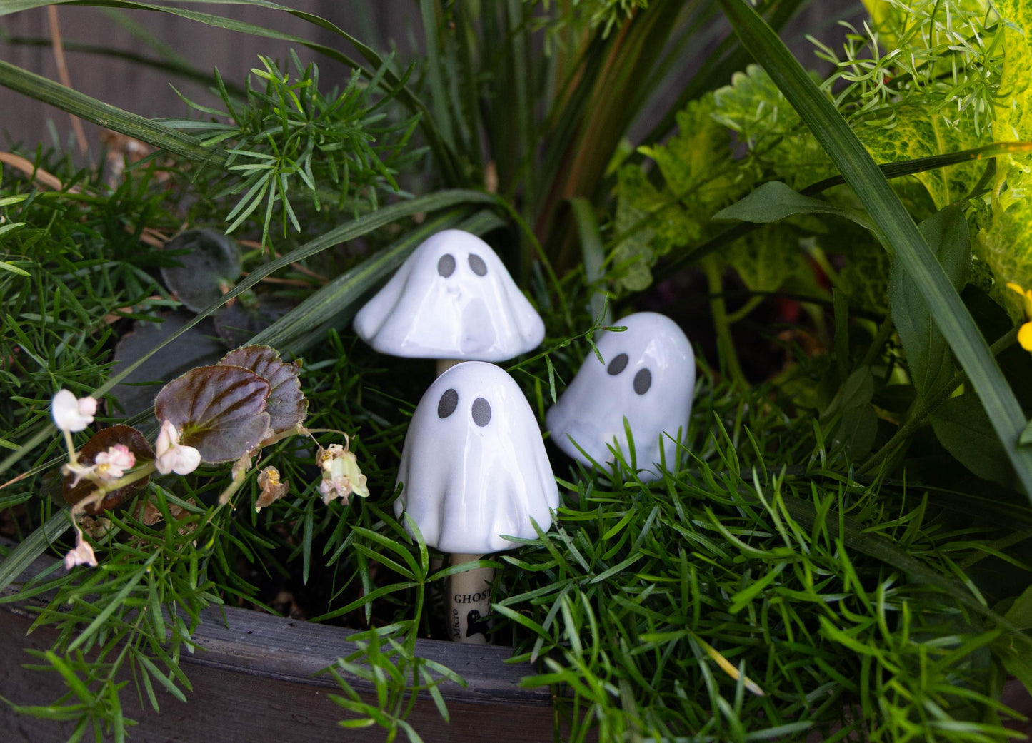 Ghostyz – Micro Pack - Image 11 of 11 | Garden Decor