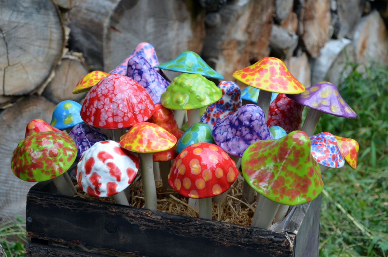 Shroomyz – Funtasmic Collection – Cherry Bomb - Image 7 of 7 | Garden Decor