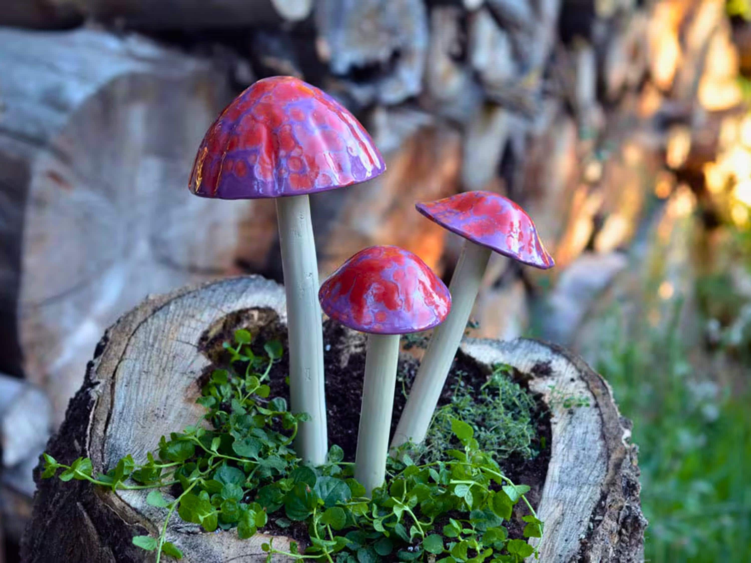 Shroomyz – Funtasmic Collection – Cherry Pop Rock - Image 1 of 6 | Garden Decor
