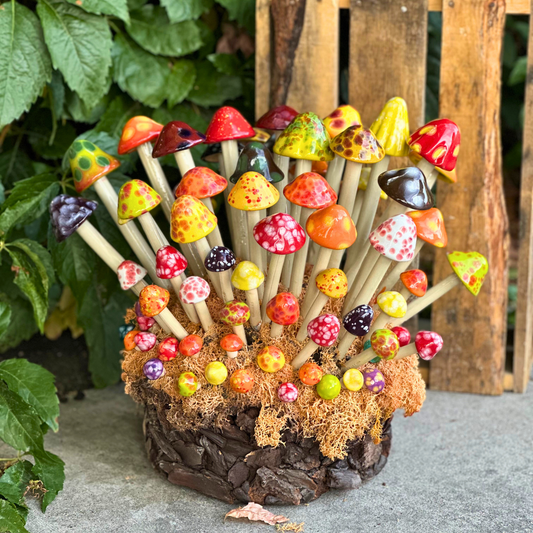 Shroomyz – Fall Pack