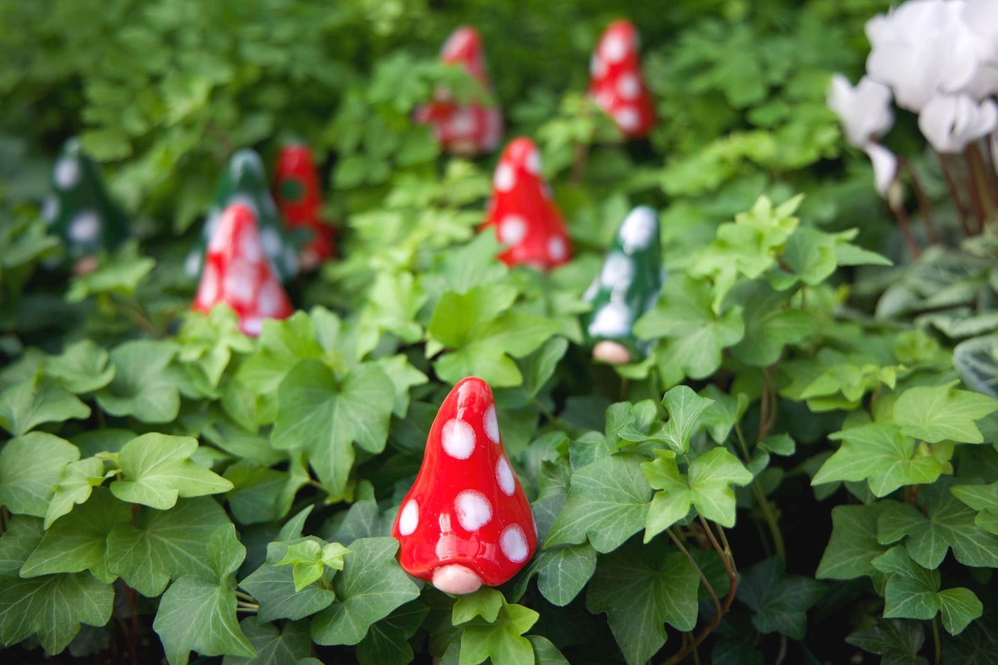 Gnomyz – Christmas Micro Pack - Image 1 of 3 | Garden Decor
