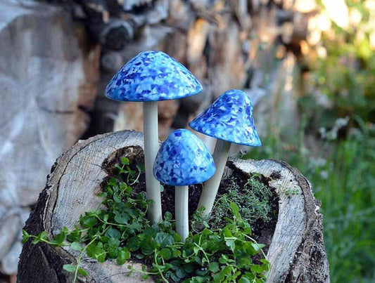 Shroomyz – Funtasmic Collection – Frosty Blue - Image 1 of 5 | Garden Decor