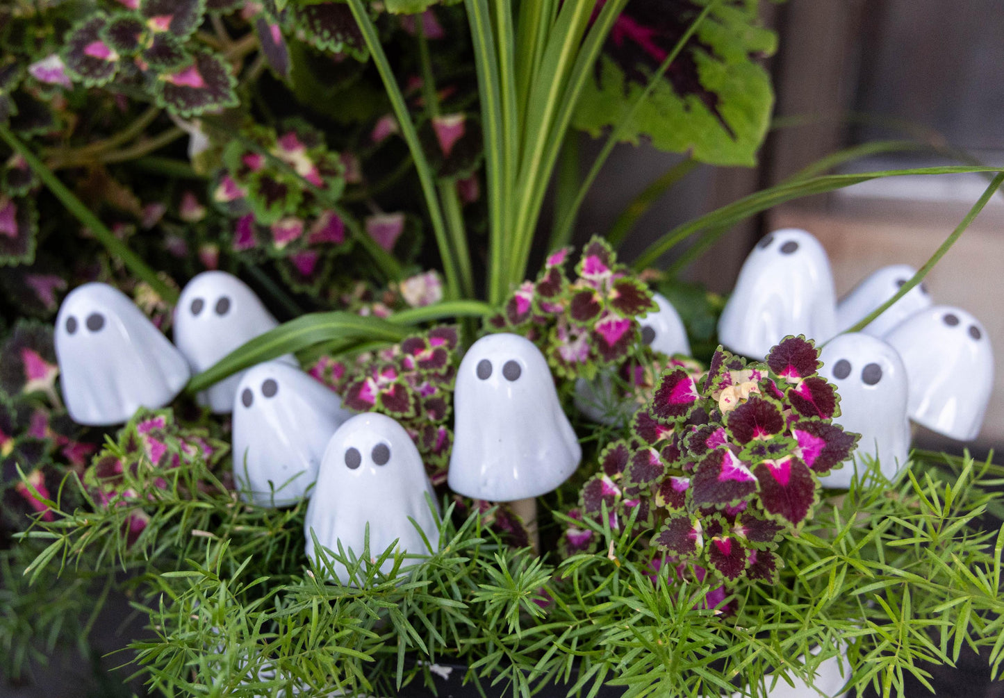 Ghostyz – Pick by Size (Single) - Image 4 of 6 | Garden Decor