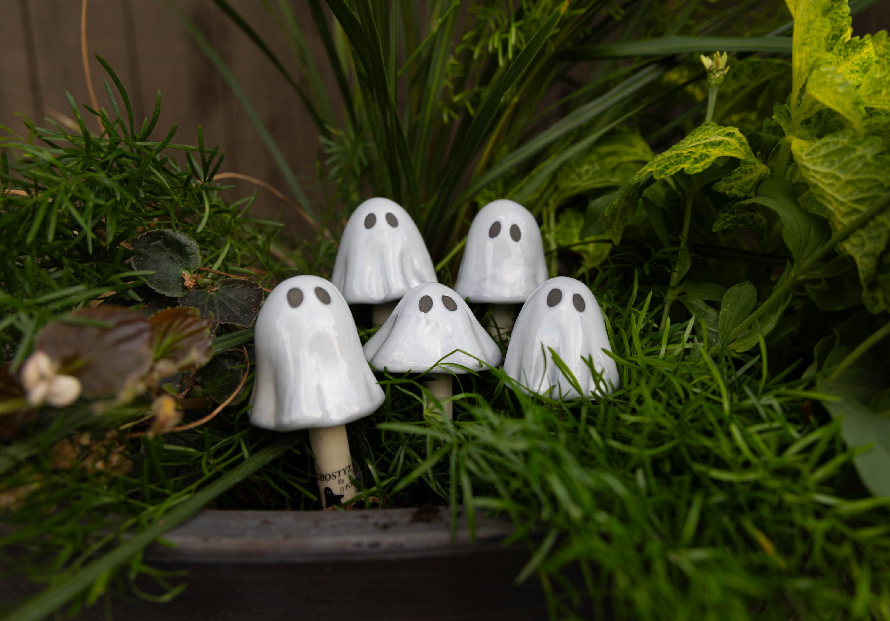 Ghostyz – Pick by Size (Single) - Image 6 of 6 | Garden Decor