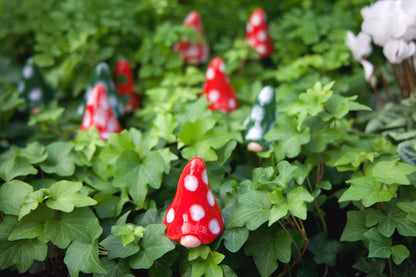 Gnomyz – Christmas Micro Pack - Image 1 of 3 | Garden Decor