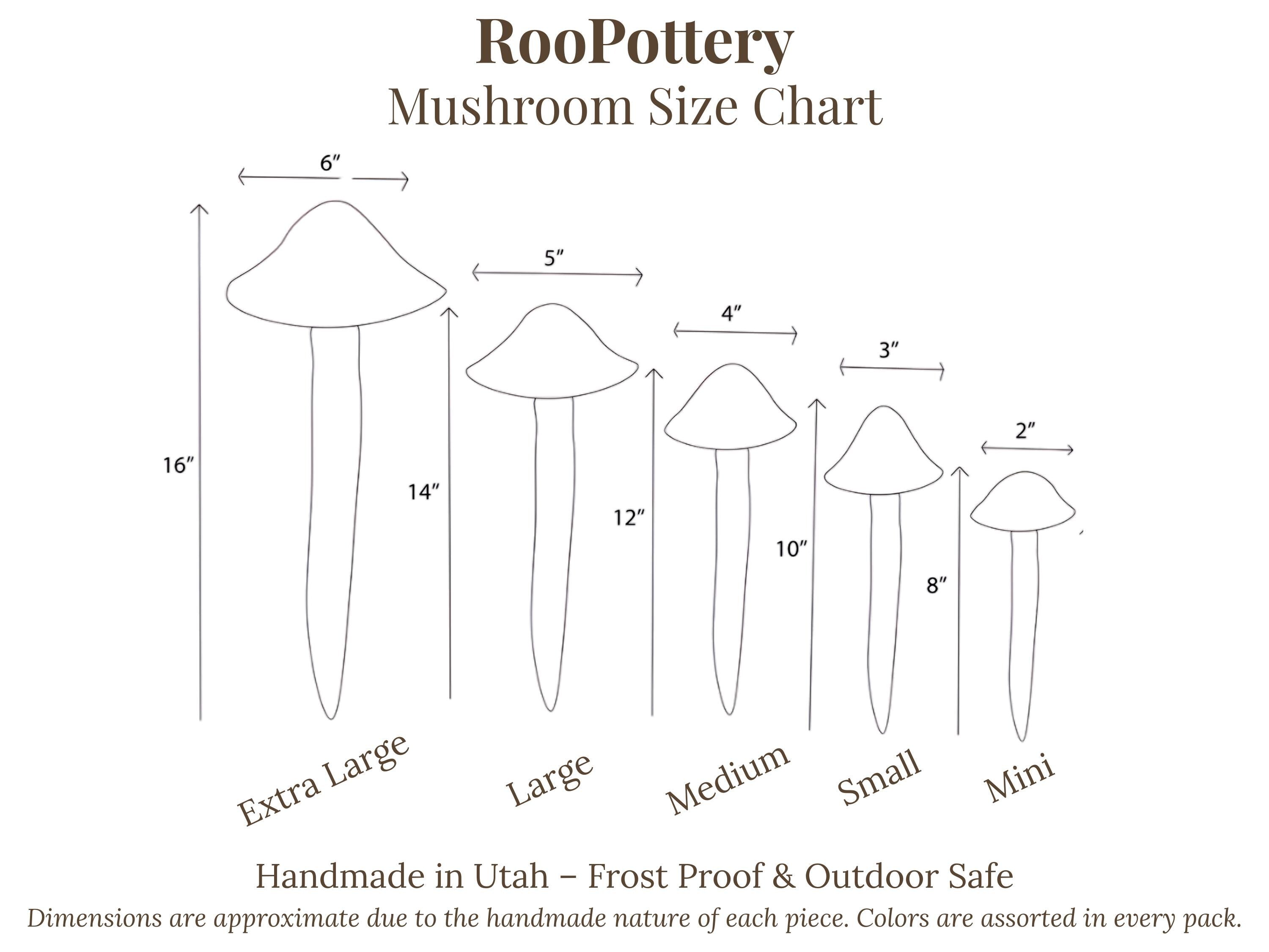 Shroomyz – Crystal Collection – Old English - Image 5 of 5 | Garden Decor