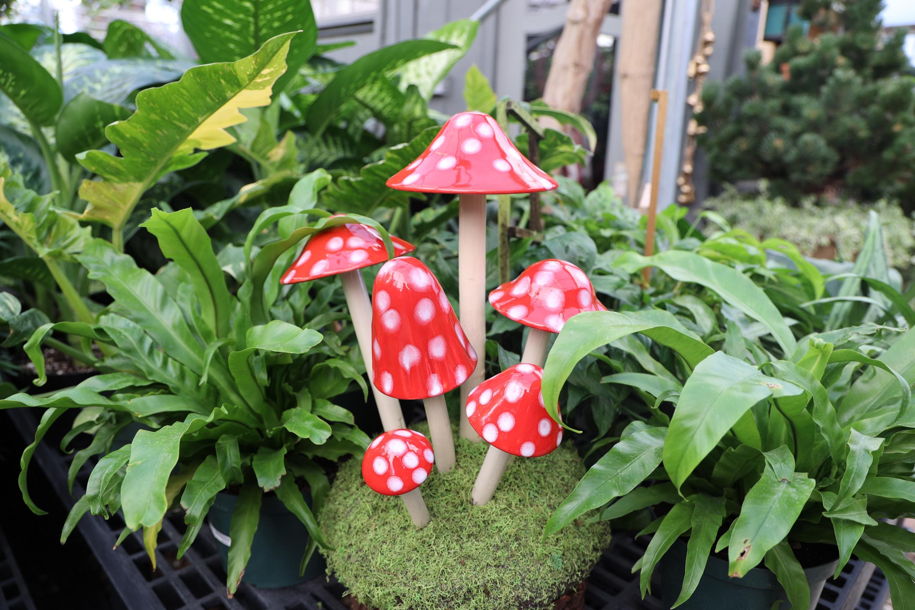 Shroomyz – Funtasmic Collection – Red Polka Dot - Image 4 of 9 | Garden Decor