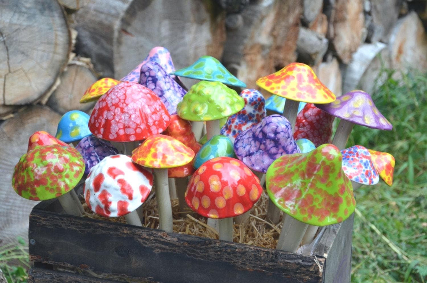 Shroomyz – Funtasmic Collection – Variety Pack - Image 8 of 8 | Garden Decor
