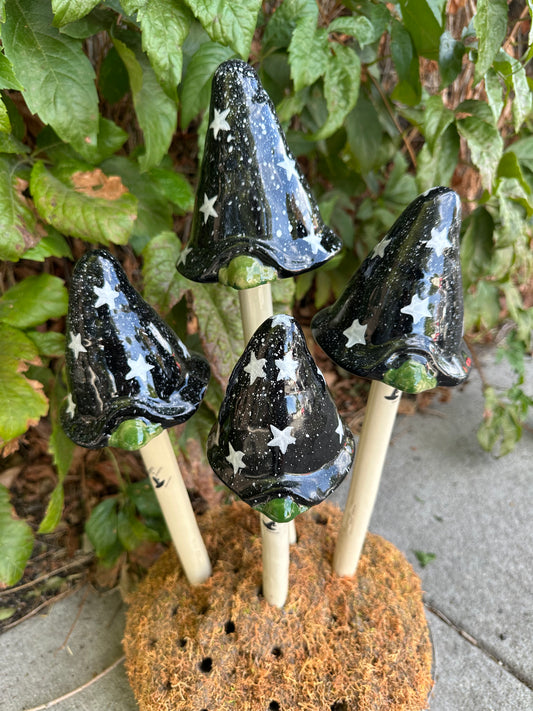 Witchyz – Halloween Variety Pack